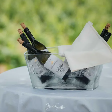 酒店 La Tavernetta Al Castello 卡帕瑞瓦德尔弗留利