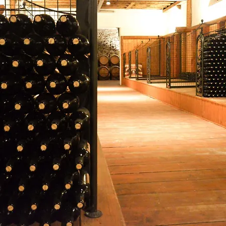 酒店 La Tavernetta Al Castello 3*